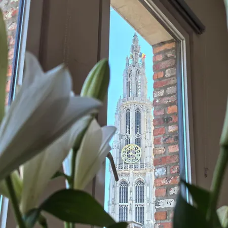 Historical Center Antwerp, All On Foot Exterior photo
